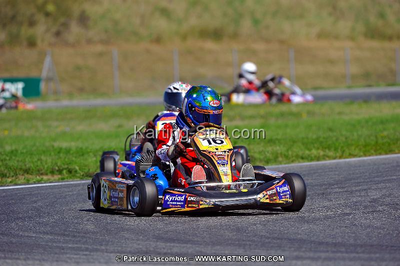 DSC_ (1331).jpg